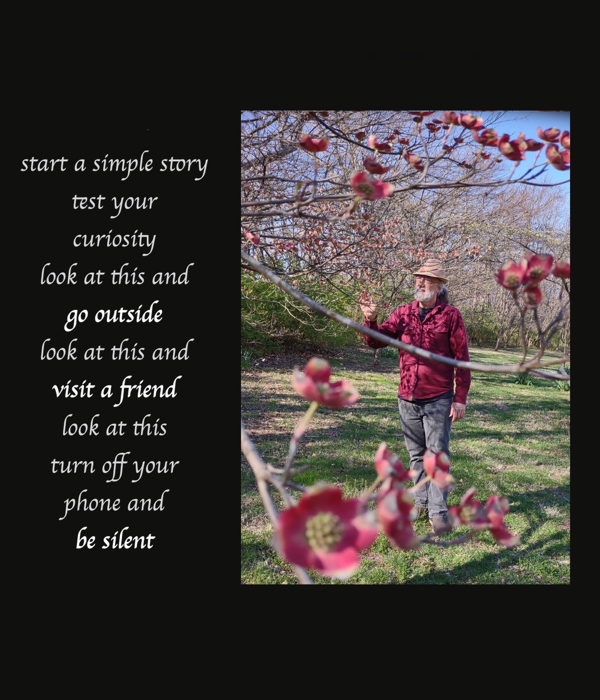 Curiosity Lloyd Grotjan